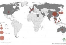 Trái Đất Đang “Lên Sởi” Như Thế Nào?