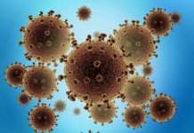 Phòng Ngự Và Chống Trả Vi Khuẩn Corona